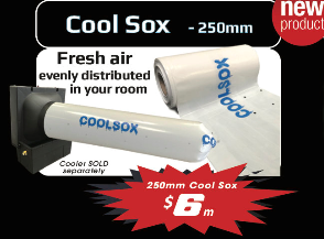 cool-sox-(1).PNG