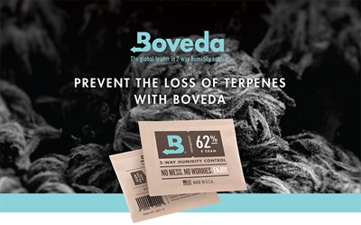 BOVEDA-ADD.jpg