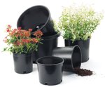 Pots, Tubs  & Trays