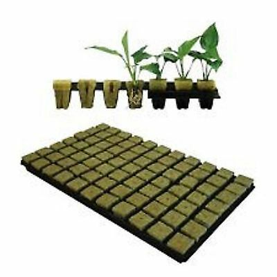 GRODAN-36mm-SBS-ROCKWOOL-PROPAGATION-GROW-CUBES-TRAY.jpg