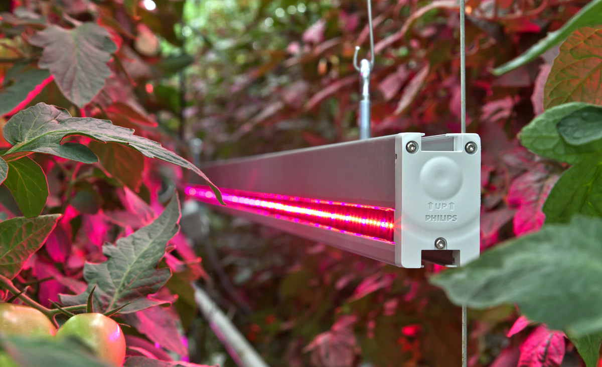 Philips greenpower discount