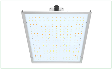 led-board-150-b.png