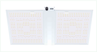 led-board-300-b.png