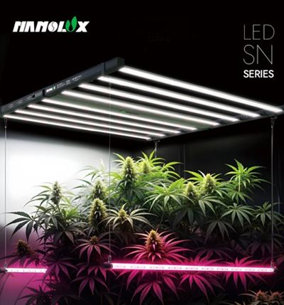 nanolux-led-plants.jpeg