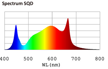 LEDex-F135-Spectrum.png
