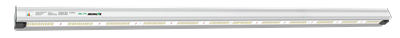 LEDex-Bar-(1).png