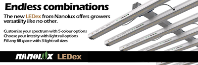nanolux-ledex-endless-combinations.png