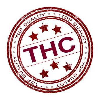 THC-LOGO.jpg