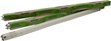 GRO LUX fluorescent tube - 2 ft