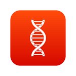 PGR - HORMONE - GENETICS